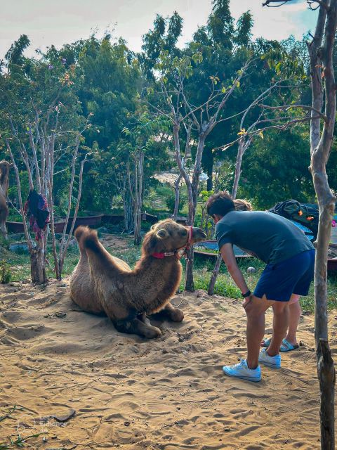 Mui Ne: Private Sand Dunes Jeep Tour at Sunrise or Sunset - Exploring Local Fishing Village