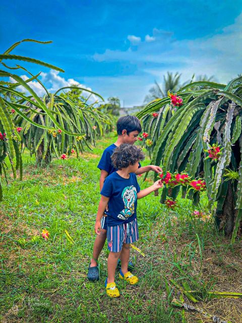 Mui Ne: Ta Cu Mountain Half Day Tour With Cable Car - Tour Details