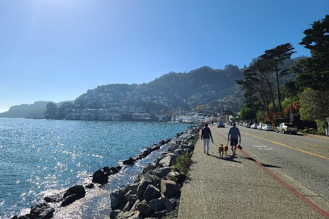 Muir Wood, Sausalito Half-Day Small Group Tour - Accessibility and Participation