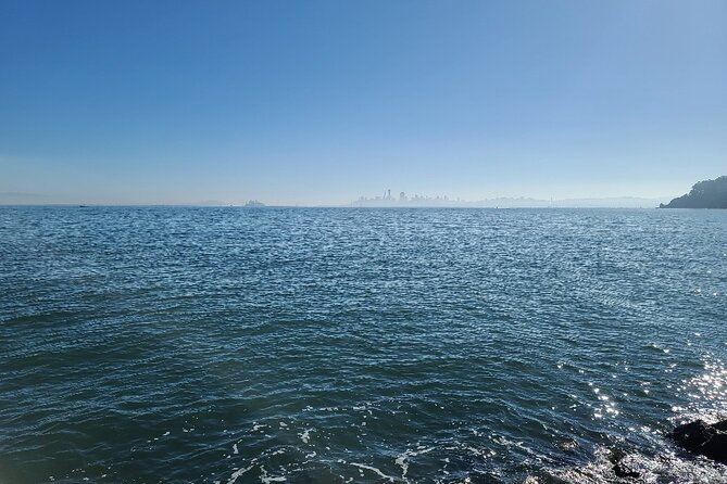 Muir Wood, Sausalito Half-Day Small Group Tour - Traveler Experiences