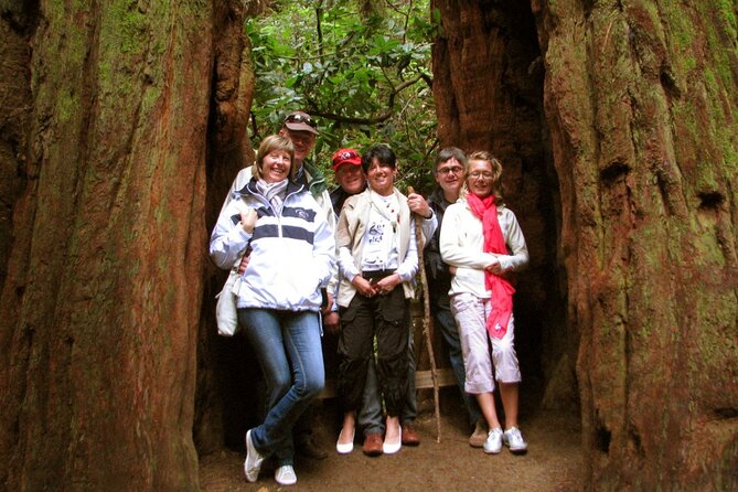 Muir Woods and California Wine Country 8 Hour Private Tour - Visiting California Wine Country