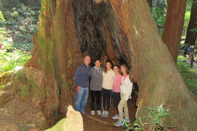 Muir Woods and California Wine Country 8 Hour Private Tour - Pickup and Drop-off Details