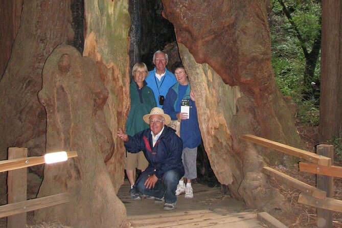 Muir Woods and California Wine Country 8 Hour Private Tour - Booking Information