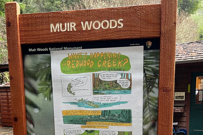 Muir Woods and Sausalito Private Tour - The Tour Guide Maddy