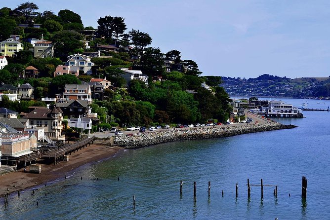 Muir Woods and Sausalito Tour Including a Return by Ferry Boat - Recommendations and Cautions
