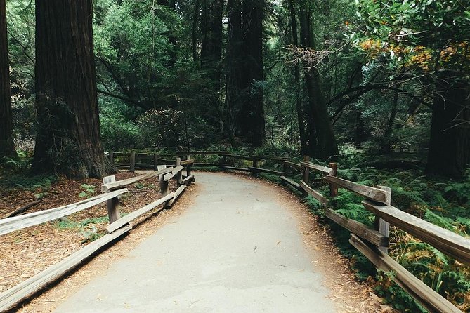 Muir Woods and Sausalito Tour Including a Return by Ferry Boat - Returning by Ferry Boat