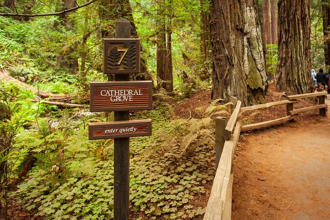 Muir Woods and Sausalito Tour Plus Bay Cruise - Additional Details