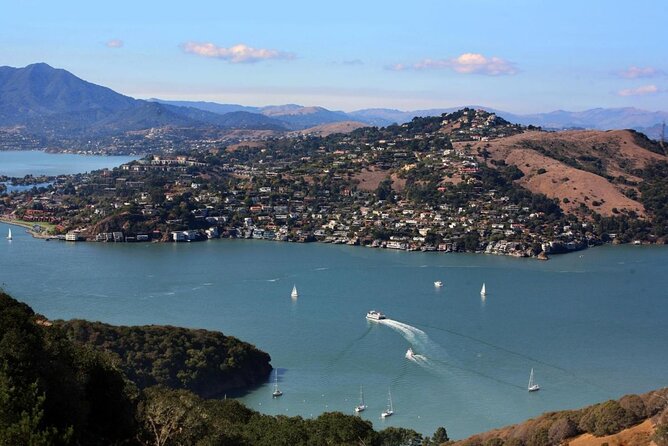 Muir Woods, Sausalito and Tiburon Day Trip From San Francisco - Discover Picturesque Tiburon