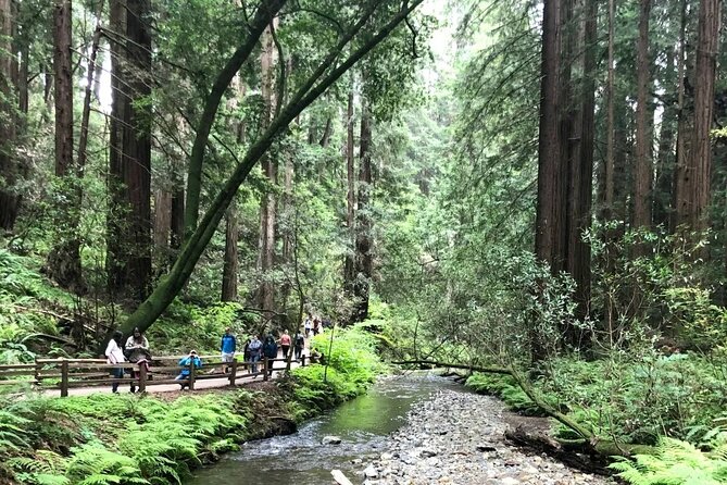 Muir Woods, Sausalito, Cavallo Point and Marin Headlands Tour - Booking and Accessibility