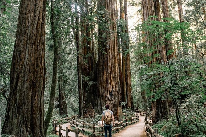 Muir Woods, Sausalito, Cavallo Point and Marin Headlands Tour - Frequently Asked Questions