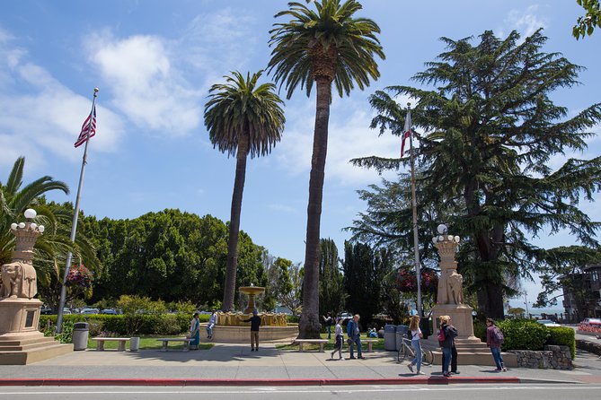 Muir Woods & Sausalito Half-Day Tour (Return by Bus or Ferry From Sausalito) - Tour Overview