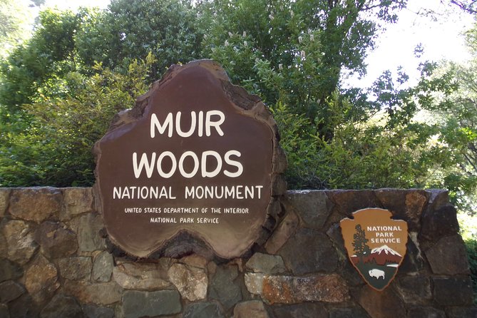 Muir Woods & Sausalito Half-Day Tour (Return by Bus or Ferry From Sausalito) - Return Options