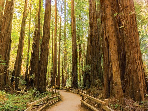 Muir Woods & Sausalito Tour - Tour Inclusions and Pricing