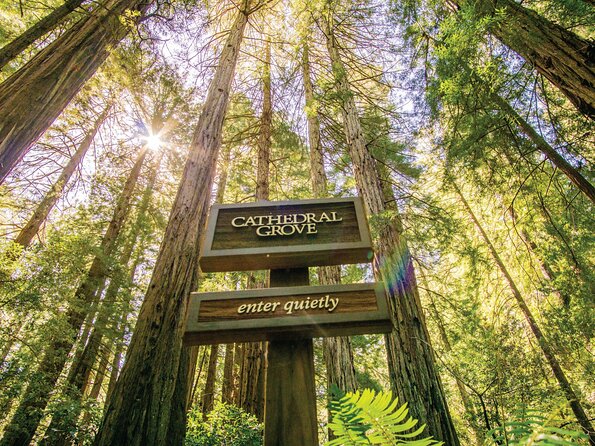 Muir Woods & Sausalito Tour - Getting to Muir Woods