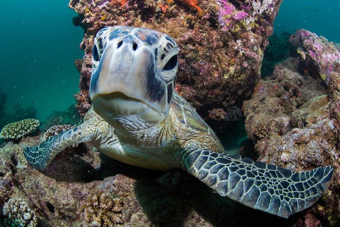 Muiron Islands Snorkeling in Exmouth - Tour Schedule and Details