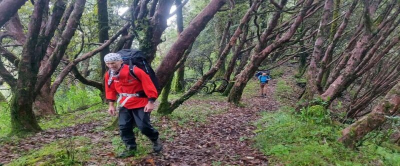 Muldai ,Poon Hill and Mohare Trek - Additional Costs
