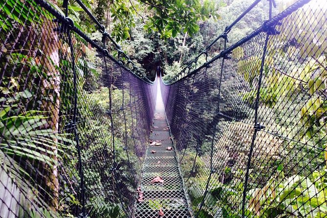 Mulguri Waterfalls - Inclusions and Logistics