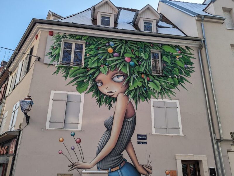 Mulhouse: Highlights Walking Tour With a Local Guide - Cultural Aspects