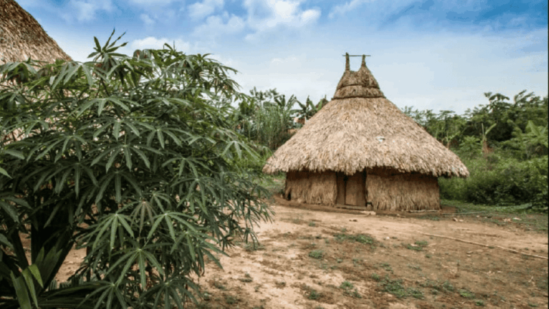 Mulkwakungui Tour: Indigenous Ancestral Thought - Cancellation and Refund Policy