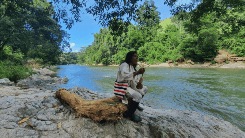 Mulkwakungui Tour: Indigenous Ancestral Thought - Guides and Language