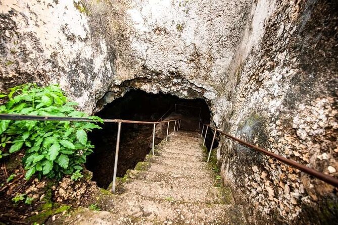 Mult-Days Tours in Zanzibar Island - What to Expect