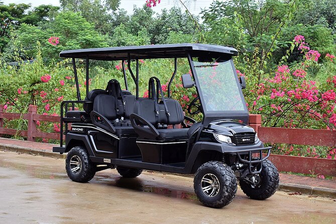 Multi Day 6 Passenger LSV Golf Cart Rental - Included Features