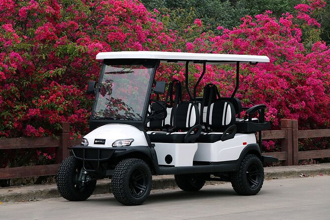 Multi Day 6 Passenger LSV Golf Cart Rental - Frequently Asked Questions