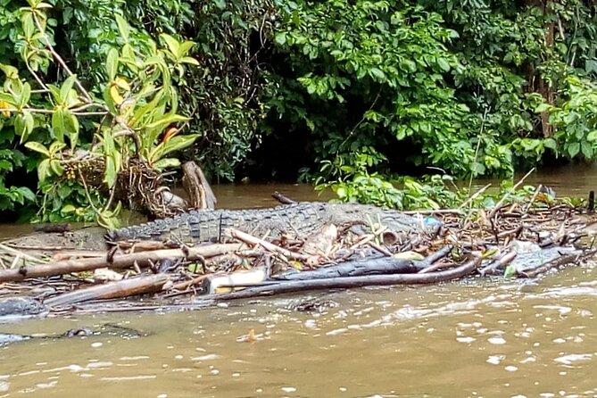 Multi-Day All Inclusive at Tortuguero With a Tour at National Park From San Jose - Pricing and Booking Information