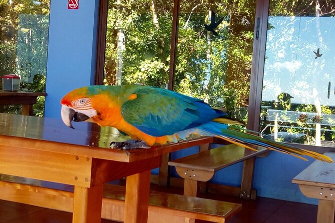 Multi-Day All Inclusive at Tortuguero With a Tour at National Park From San Jose - Meeting and Pickup Details