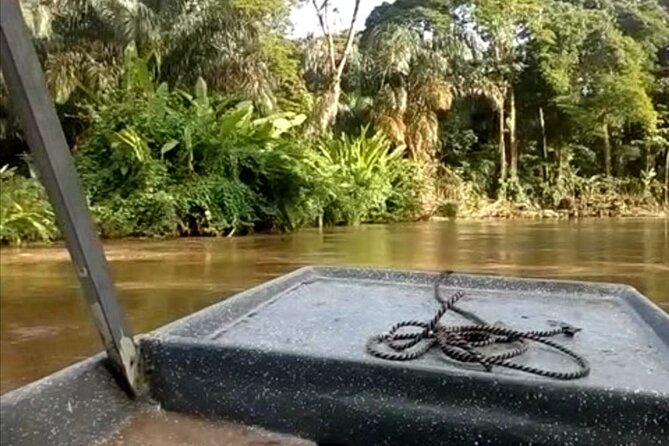 Multi-Day All Inclusive at Tortuguero With a Tour at National Park From San Jose - Customer Reviews and Experience