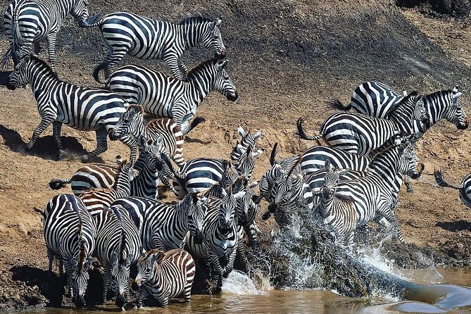 Multi-Day Camping Safari Experience in Arusha - Meal Plan and Dining