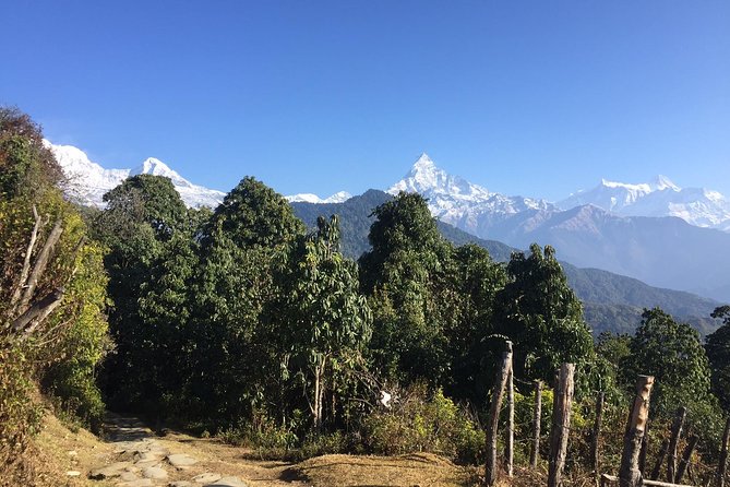 Multi-Day Ghandruk Trek in Pokhara - Overview of the Trek