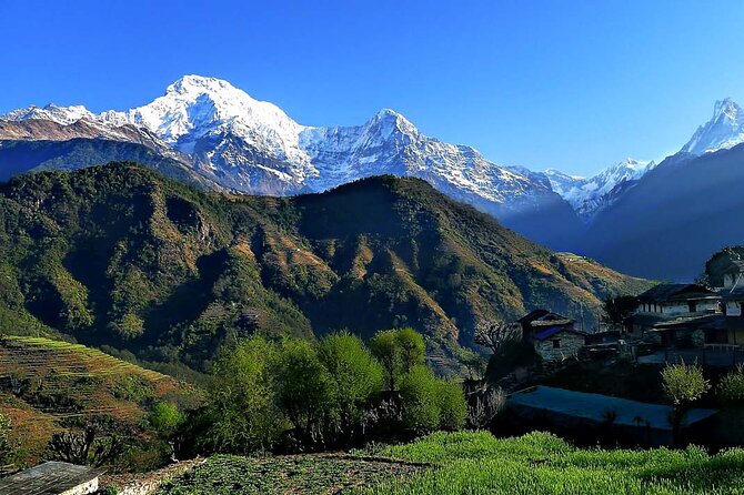 Multi-Day Ghandruk Trek in Pokhara - Daily Itinerary and Activities