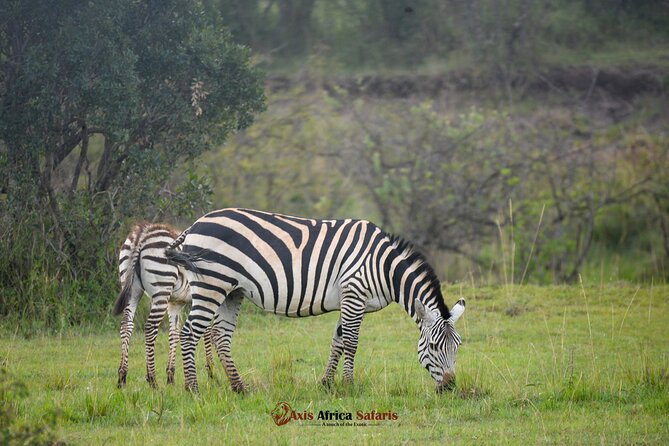 Multi Day Masai Mara Lake Nakuru Park Hellsgate Park Tour - Whats Not Included
