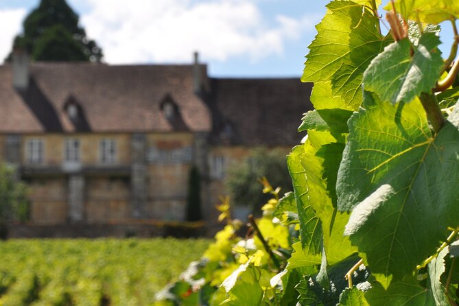 Multi Day Private Tour Prestige Burgundy With 12 Premiers & Grands Crus - Pickup and Accessibility