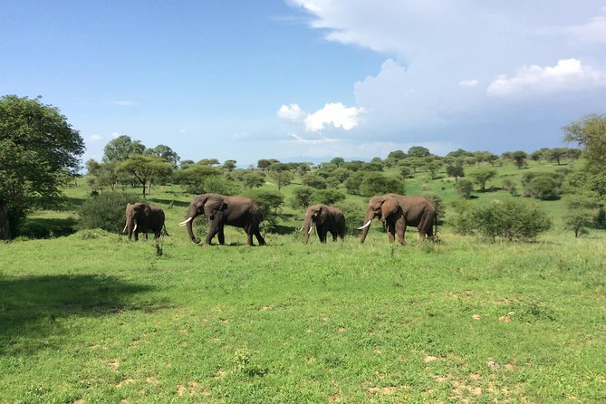 Multi-Day Tanzania Odssey Safari From Arusha - Booking and Confirmation Process