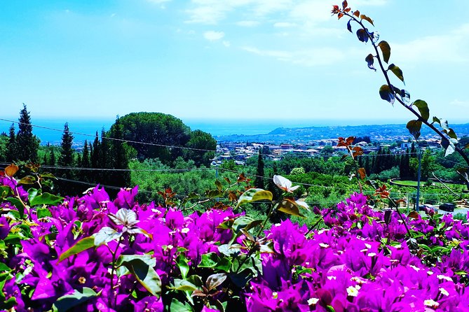 Multi-day Tour of Sicily - Pricing and Availability