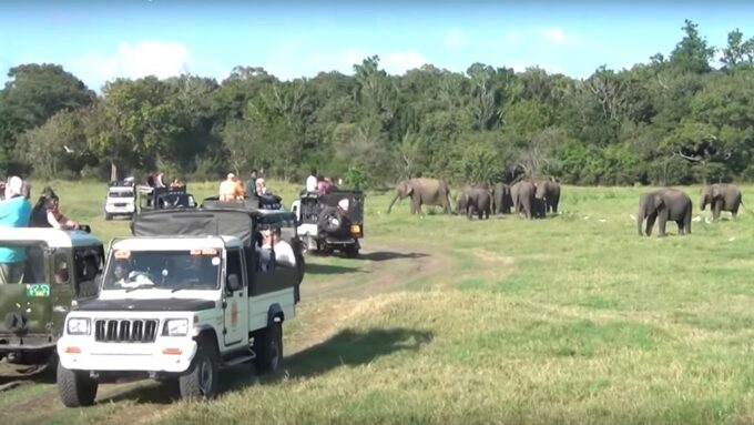 Multi-Day Tour: Udawalawe National Park Elephant Safari - Frequently Asked Questions