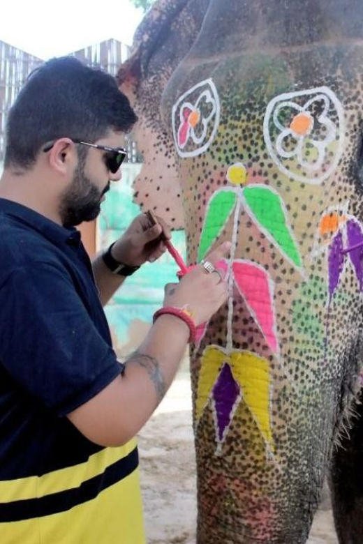 Multi Luxury Tour 5N 6D/Jaipur Ranthambore Agra Mathura - Language and Accessibility