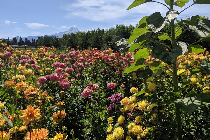Multnomah Falls, Hood River Excursion Train Ride & Wine Tour - Winery Tasting Experience