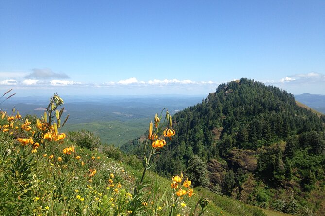 Multnomah Falls, Hood River Excursion Train Ride & Wine Tour - Booking and Cancellation Policies