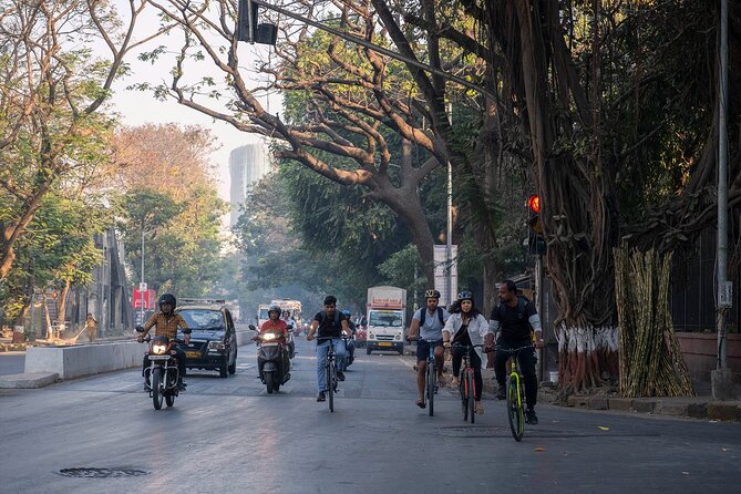 Mumbai Bicycle Tour - Tour Inclusions