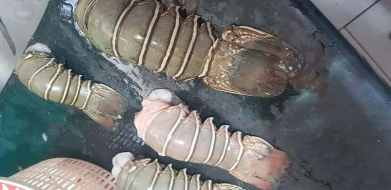 Mumbai Coastal Cooking: From Fishing Net to Flavourful Plate - The Hands-On Cooking Experience