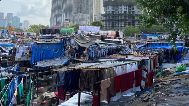 Mumbai: Dharavi Slum & Dhobi Ghat With Local Train Ride - Key Points