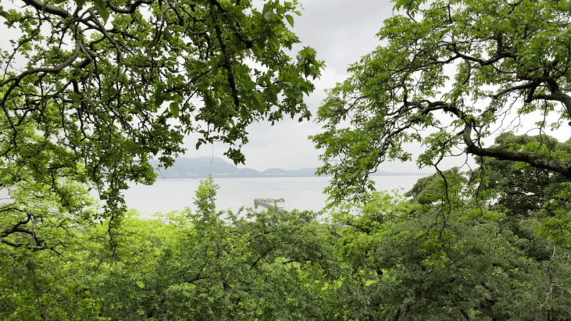 Mumbai: Elephanta Caves Guided Tour With Boat Ride - Meeting and Pickup Information