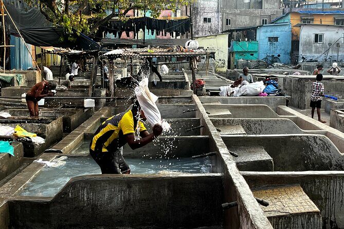 Mumbai Morning Market Tour of Flowers, Fish, and More - Final Thoughts: Why This Tour Is Worth It