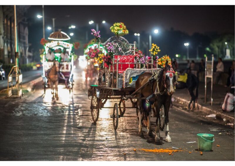 Mumbai Night Walk (2 Hours Guided Walking Tour) - Important Information