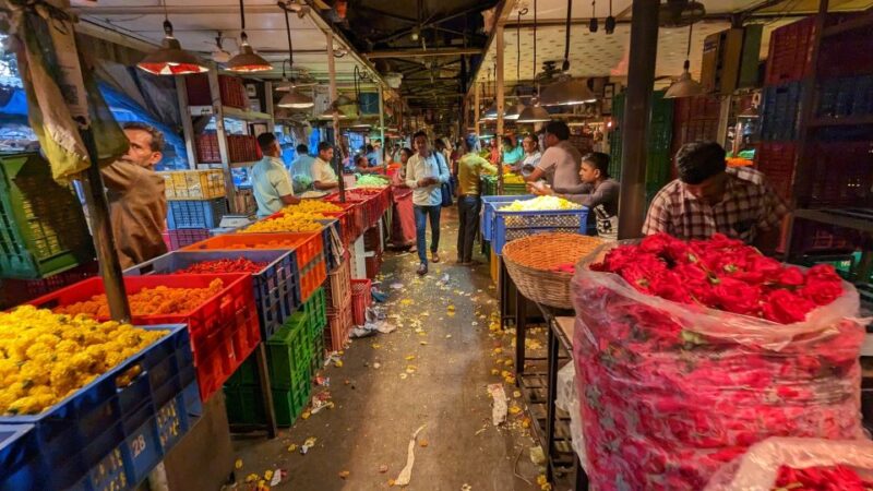 Mumbai: Private Tour With a Local Guide - Customer Feedback