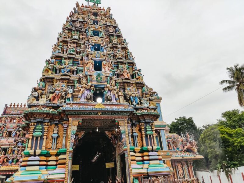 Mumbai Shore Excursion - Tour Highlights