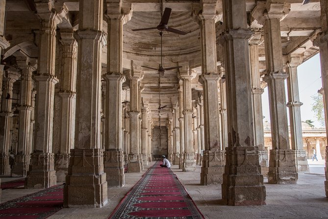Mumbai to Ahmedabad Western India Overland Tour - Accessibility and Participation